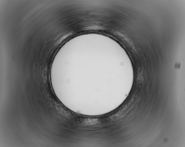 X0000097981313200804211028