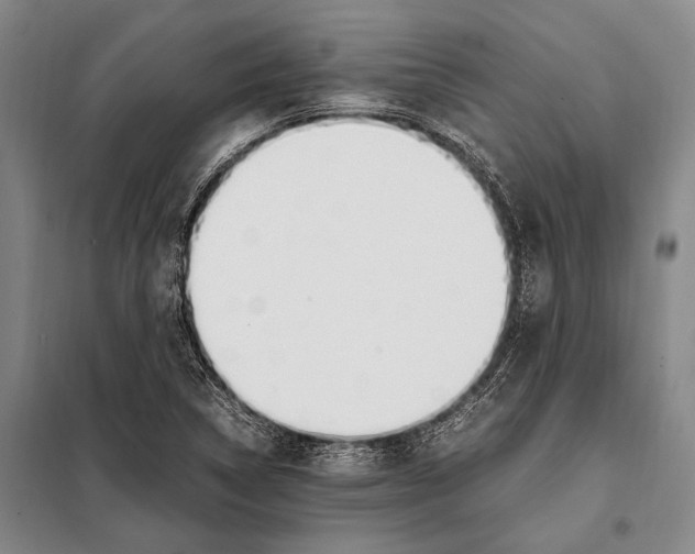 X0000097981314200804211028