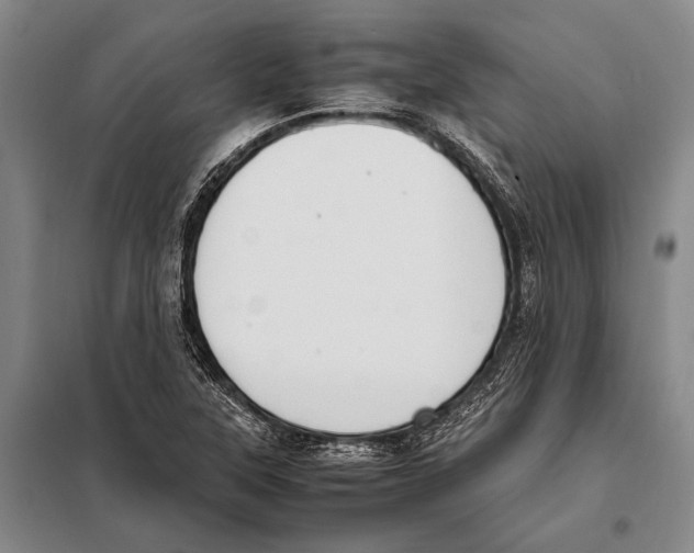 X0000097981315200804211028