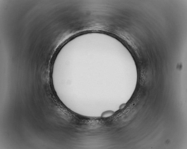 X0000097981316200804211028