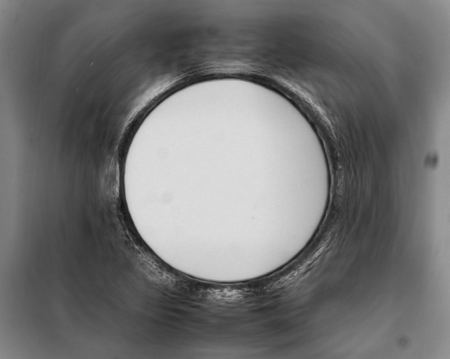 X0000097981317200804211028