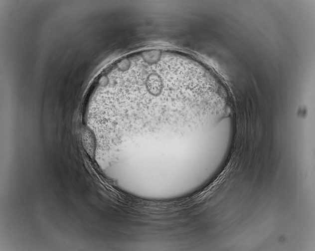 X0000097981318200804211028