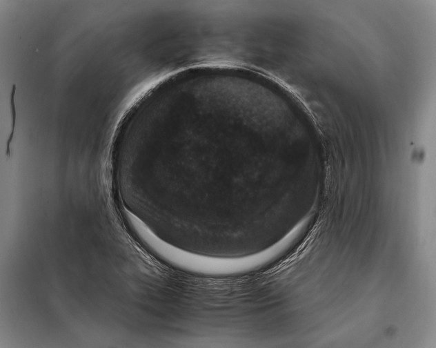 X0000097981319200804211028