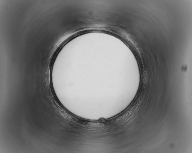 X0000097981320200804211028