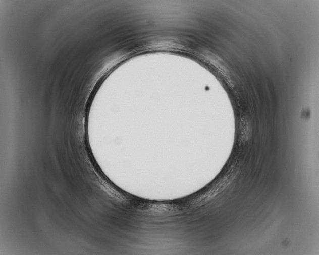 X0000097981322200804211028