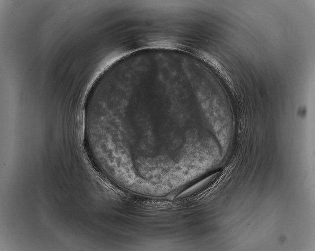 X0000097981323200804211028