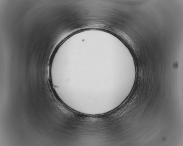 X0000097981324200804211028