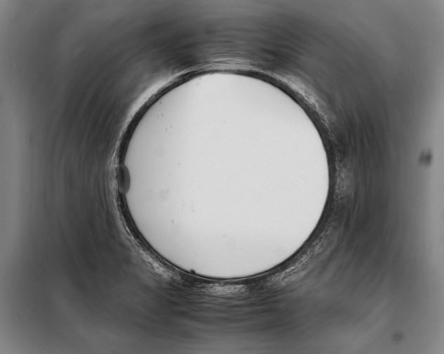 X0000097981325200804211028