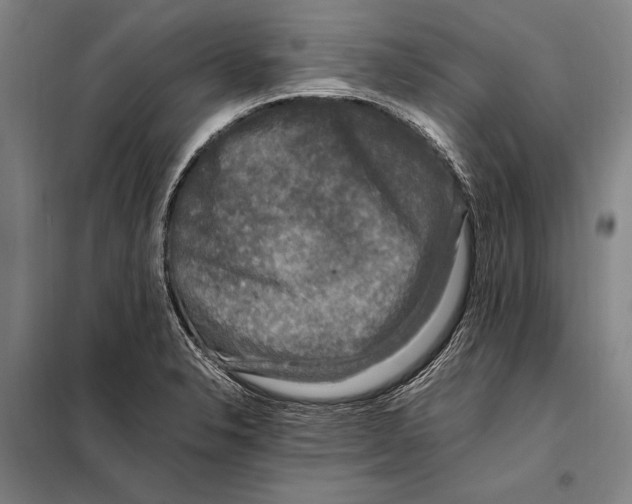 X0000097981326200804211028