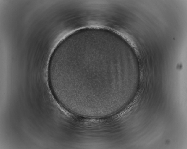 X0000097981327200804211028