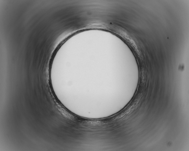 X0000097981328200804211028