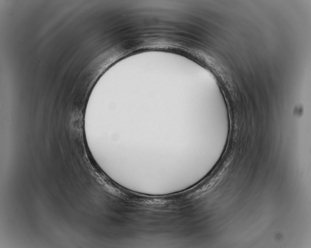 X0000097981329200804211028