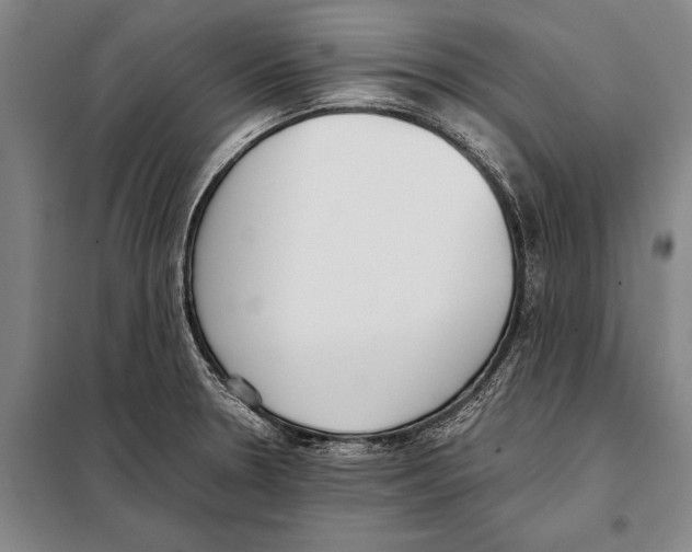 X0000097981330200804211028