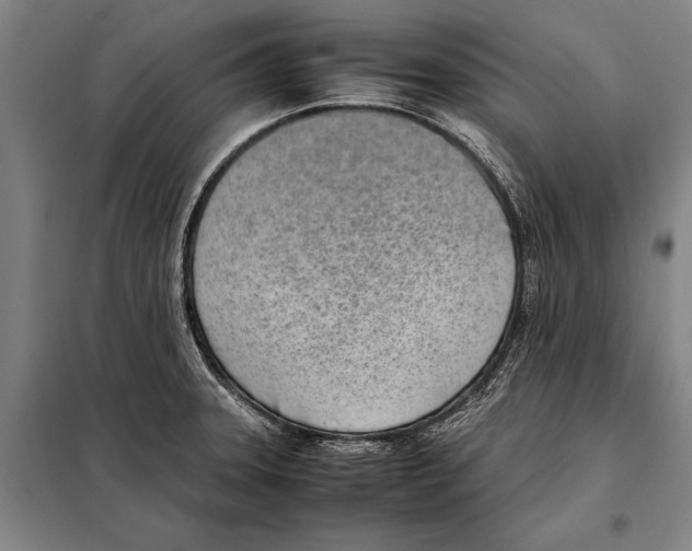 X0000097981331200804211028