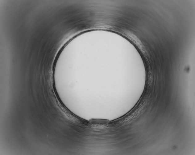 X0000097981332200804211028