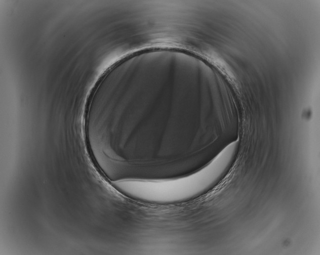 X0000097981334200804211028