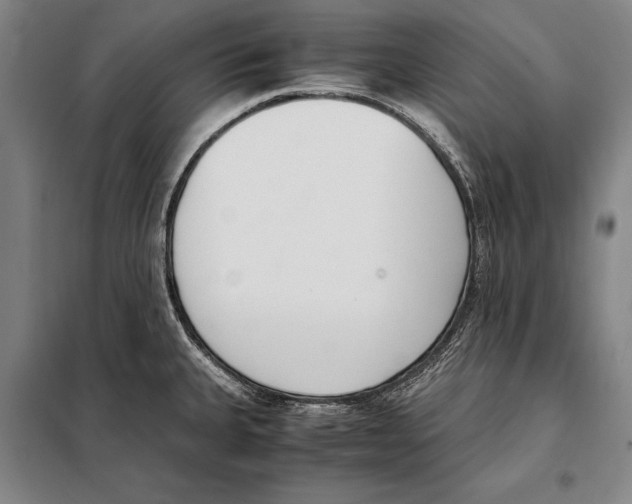 X0000097981335200804211028