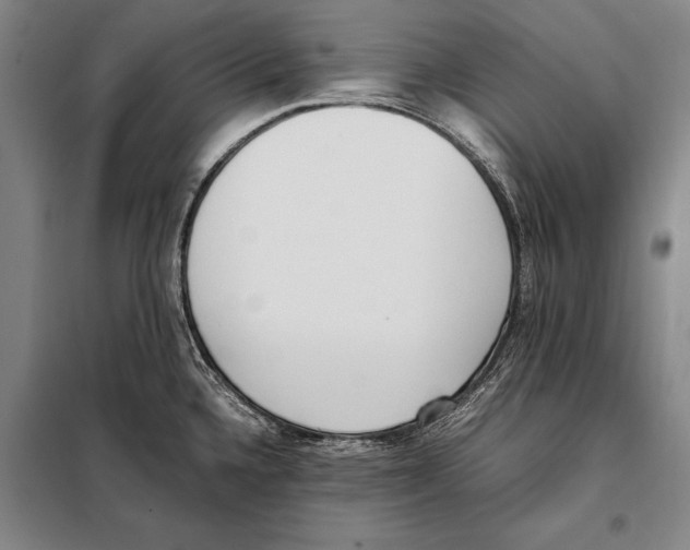 X0000097981336200804211028