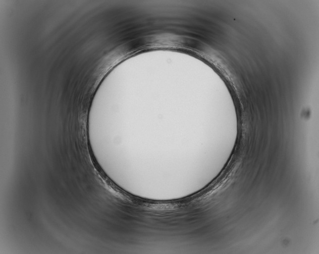 X0000097981337200804211028