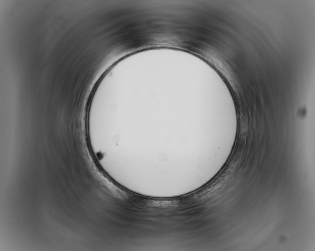 X0000097981339200804211028