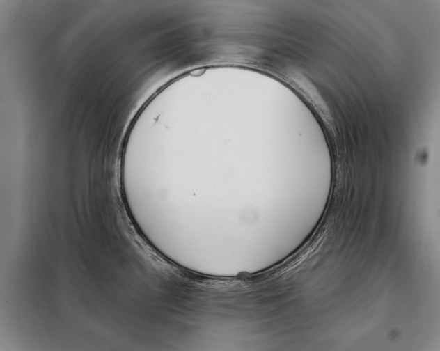 X0000097981340200804211028