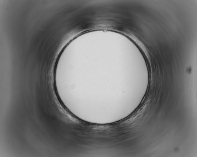 X0000097981341200804211028