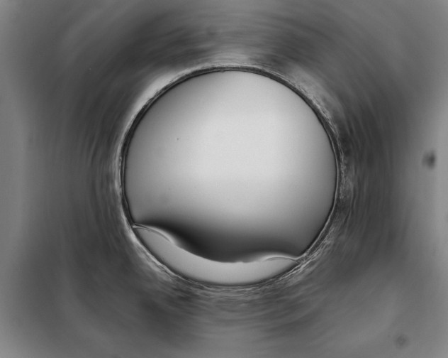 X0000097981342200804211028