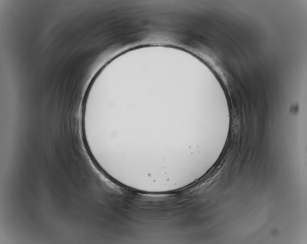 X0000097981343200804211028