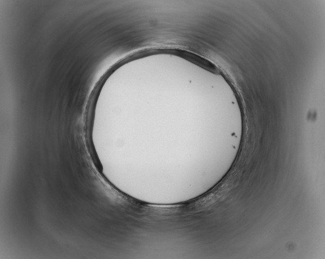 X0000097981344200804211028