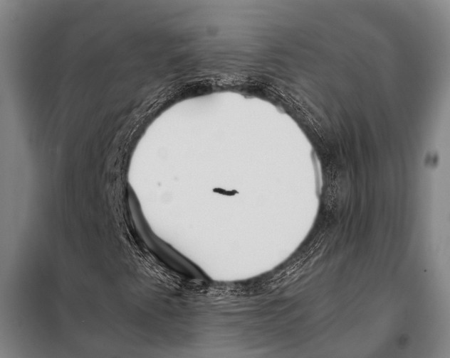 X0000097981345200804211027