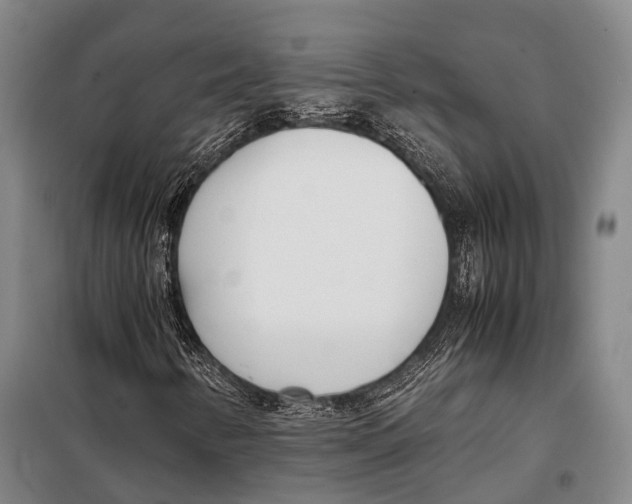 X0000097981346200804211027