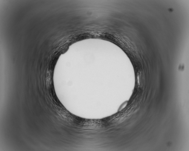 X0000097981347200804211027