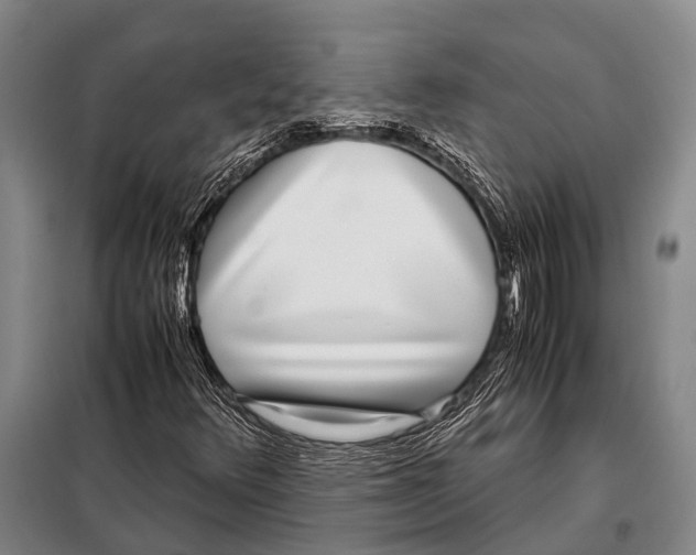 X0000097981348200804211027