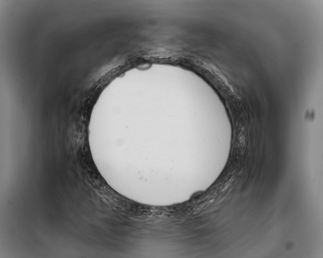 X0000097981350200804211027