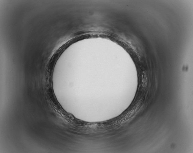 X0000097981352200804211027