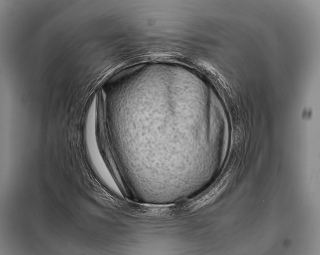 X0000097981353200804211027