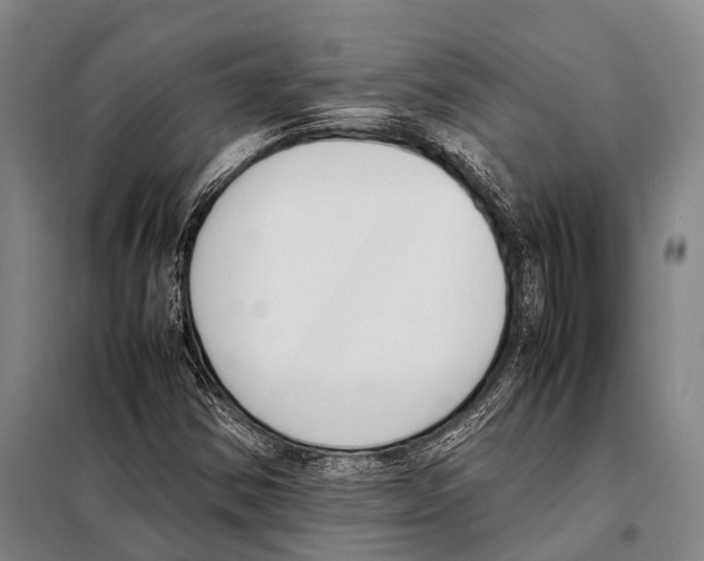 X0000097981354200804211027