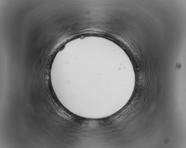 X0000097981355200804211027