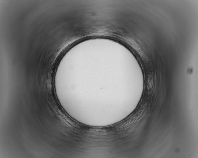 X0000097981356200804211027