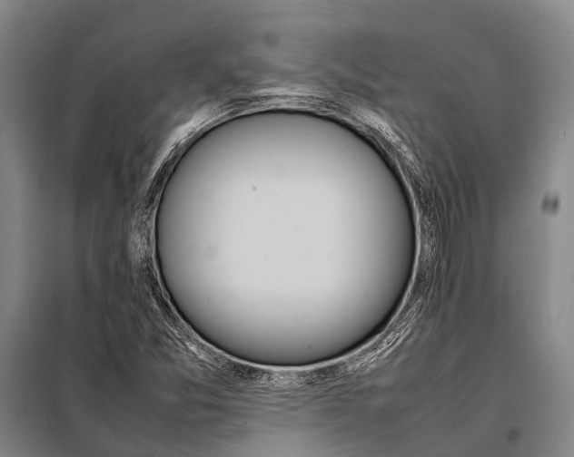 X0000097981357200804211027