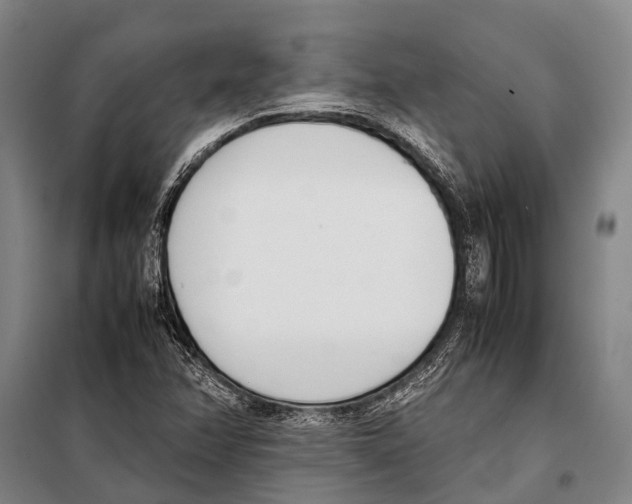 X0000097981358200804211027