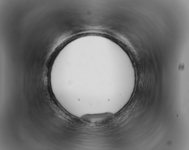 X0000097981360200804211027