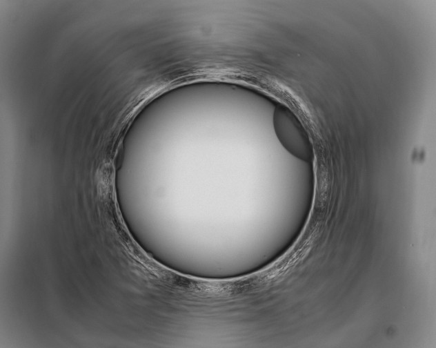 X0000097981361200804211027