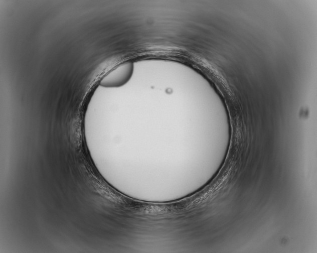 X0000097981362200804211027