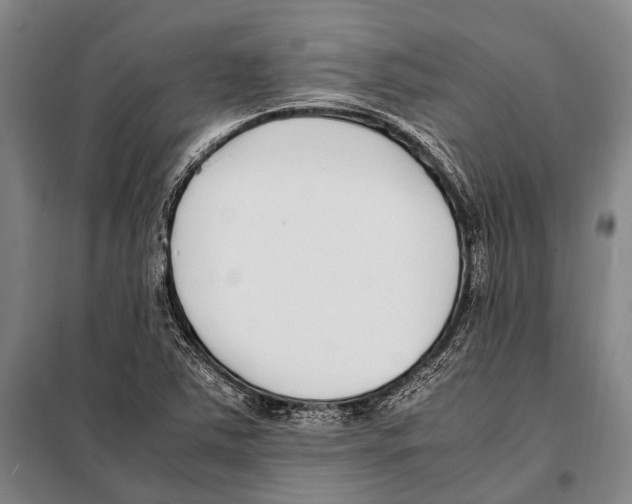 X0000097981363200804211027