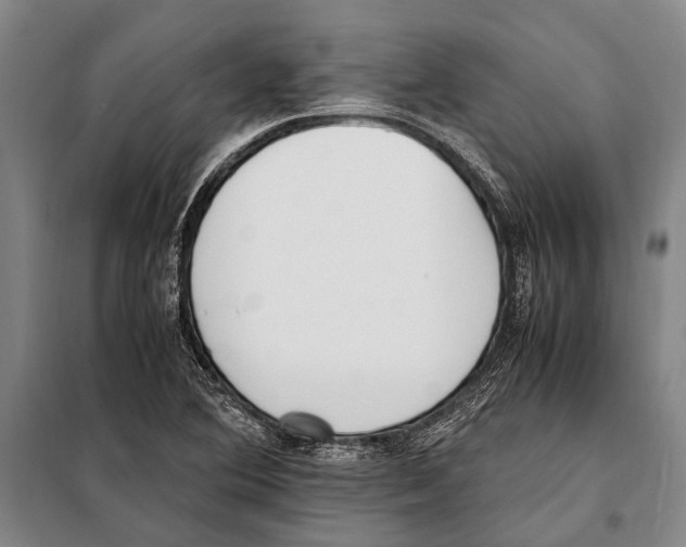 X0000097981364200804211027