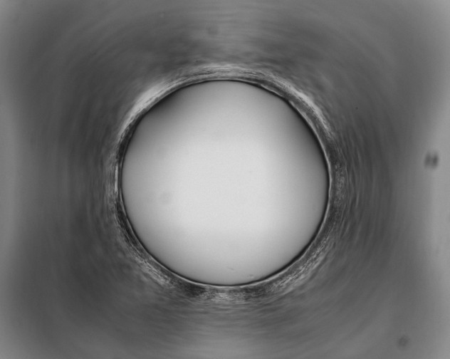 X0000097981365200804211027