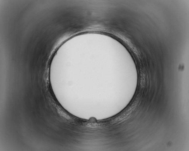 X0000097981366200804211027