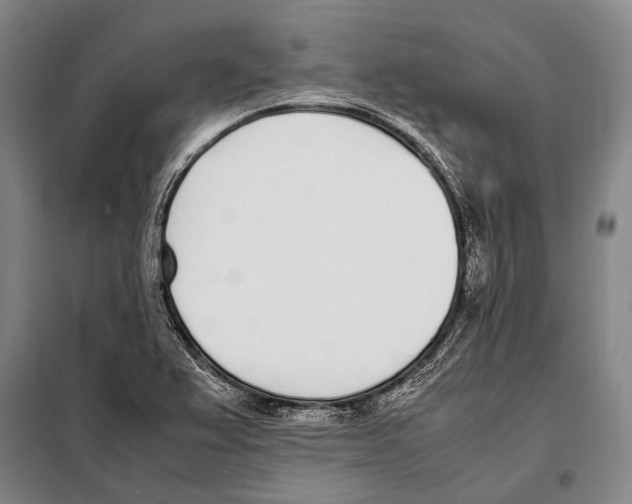 X0000097981367200804211027