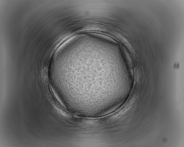 X0000097981369200804211027